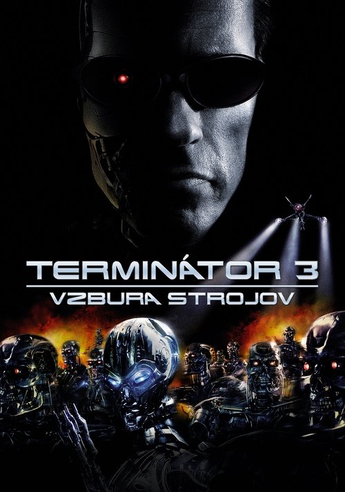 Terminator 3: Rise of the Machines